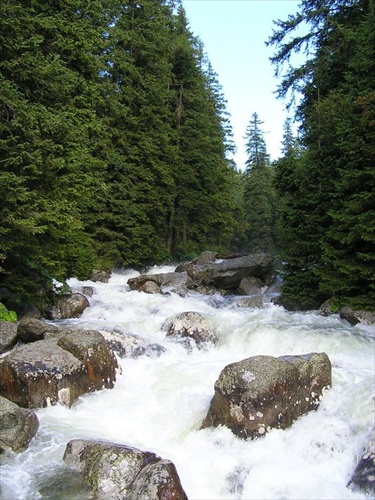 potok v Tatrách
