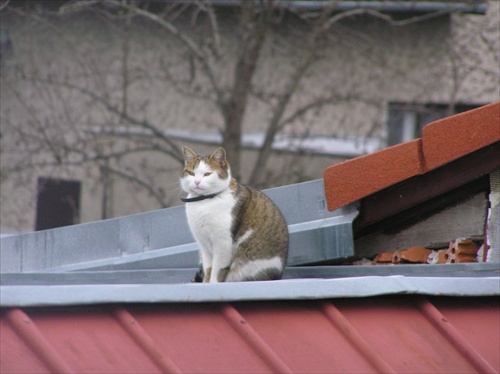 na streche