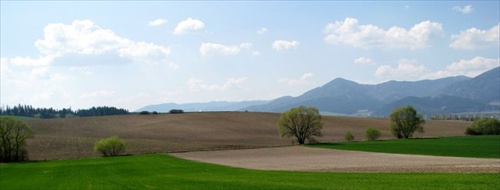 jarná