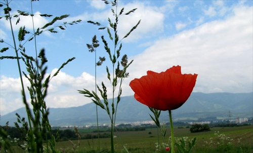 pohľad na mesto