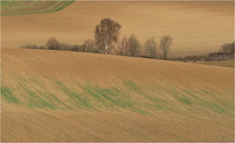 jesenné polia