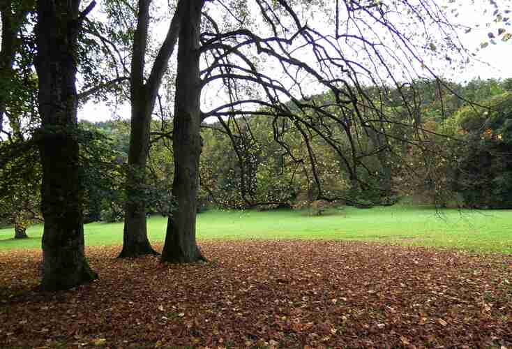 park