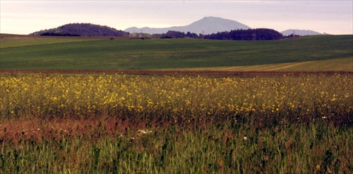 letisková