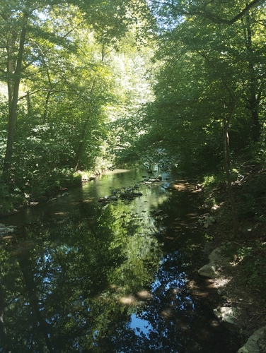 Rieka Rajčanka Rajecké teplice