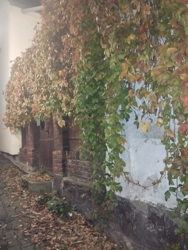 Žilinská noc...2025