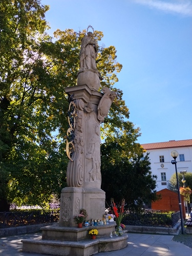 Žilinská Immaculata 2026