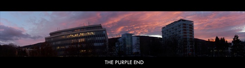THE PURPLE END