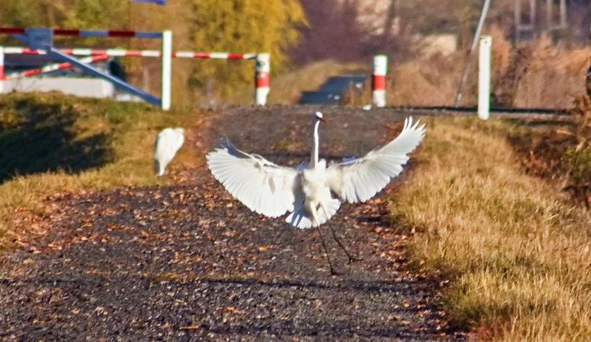 přistání