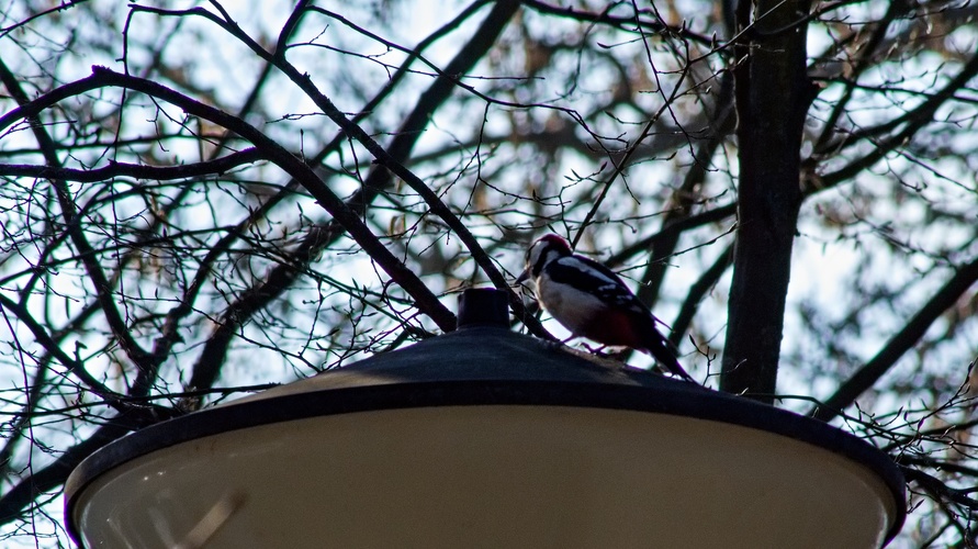 zámečník , ťukal do plechu