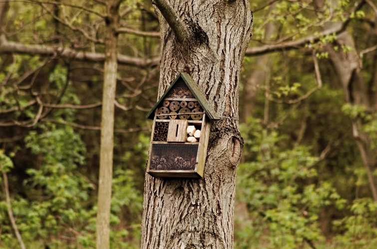 broučí hotel turistický