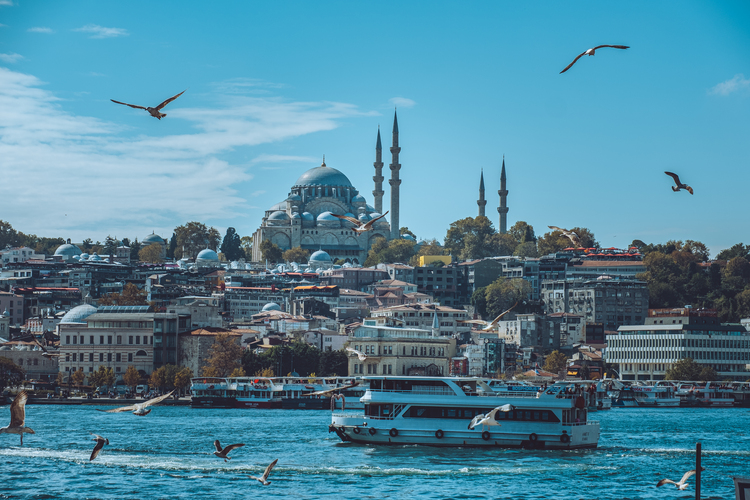 Hladné vtáctvo nad Zlatým rohom