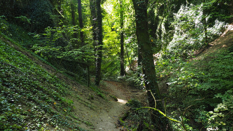 Zádielska tiesňava 