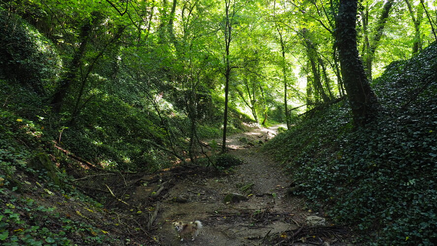 Zádielska tiesňava 