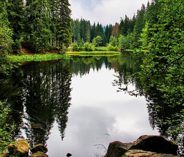 Vrbické pleso