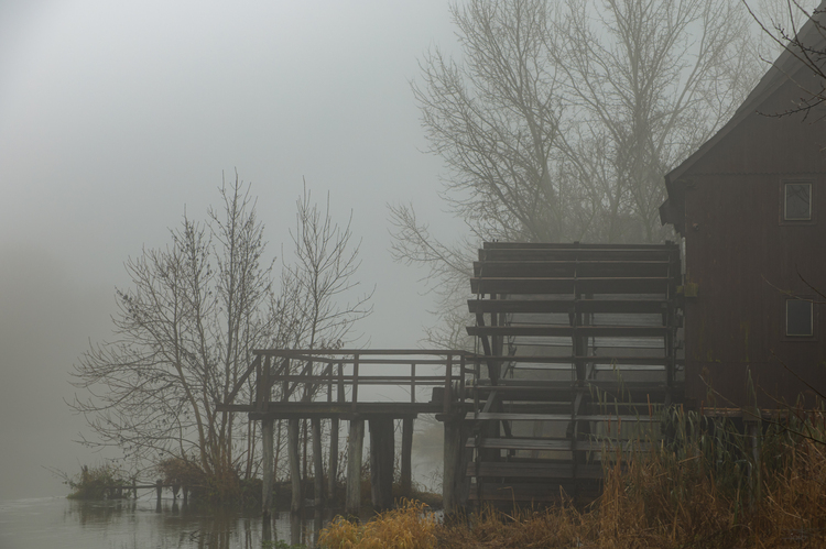 kolo, kolo mlynské :)