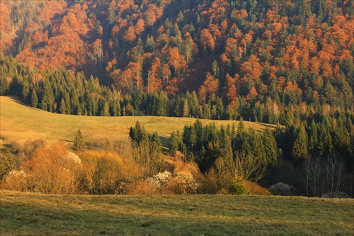 muranska planina