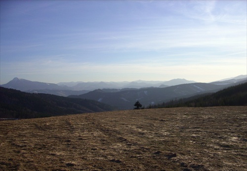 Orava v predjarí