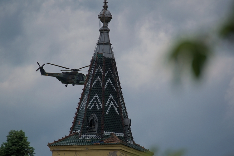 HT-29 NH90