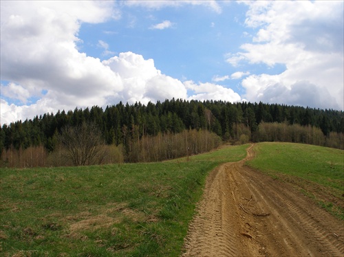 Cestička do lesa