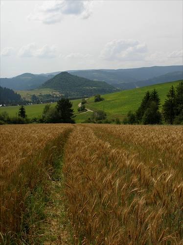 Chodníčkom pomedzi klasy