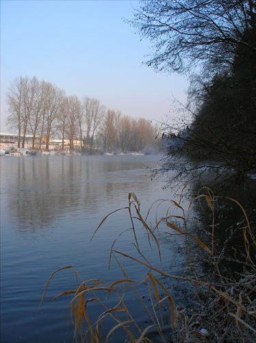Pri rieke