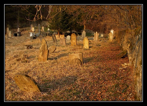 Starý zabudnutý cintorín