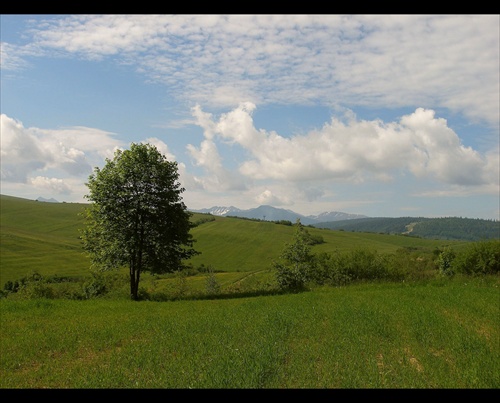 Pohľad z Oravy