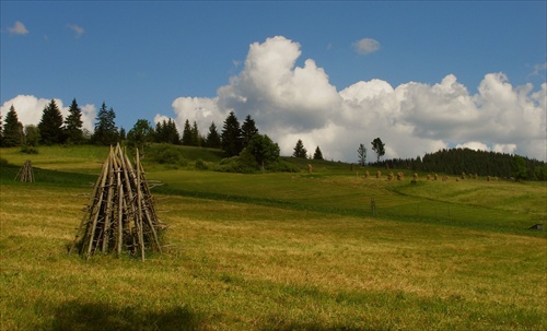 Oravské ostrvy