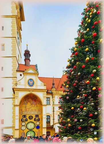 Olomoucký