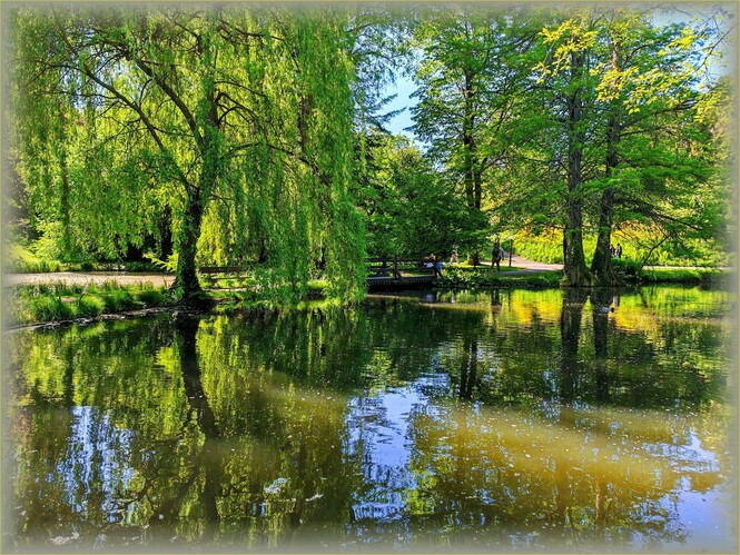 Botanická záhrada