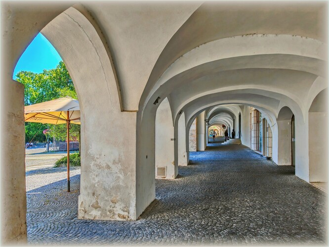 Podlubia 