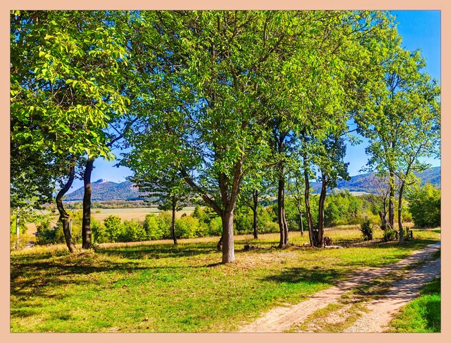 Jesennou cestičkou