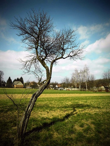 Through the pinhole