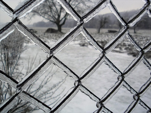 Za zimným plotom