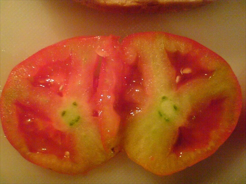 happy paradajka2