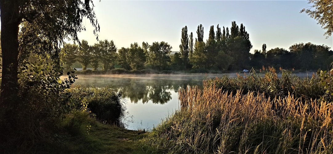 Pri rybníku.September 2021.