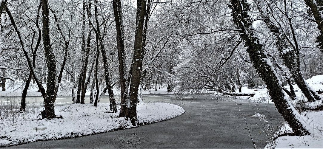 Zima a sneh.December 2021.