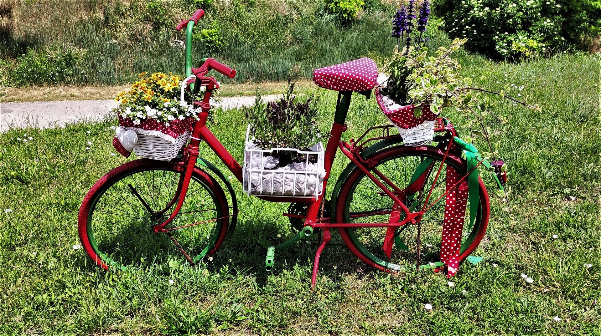Bicykel s kvetmi.Majcichov.Máj-2022.