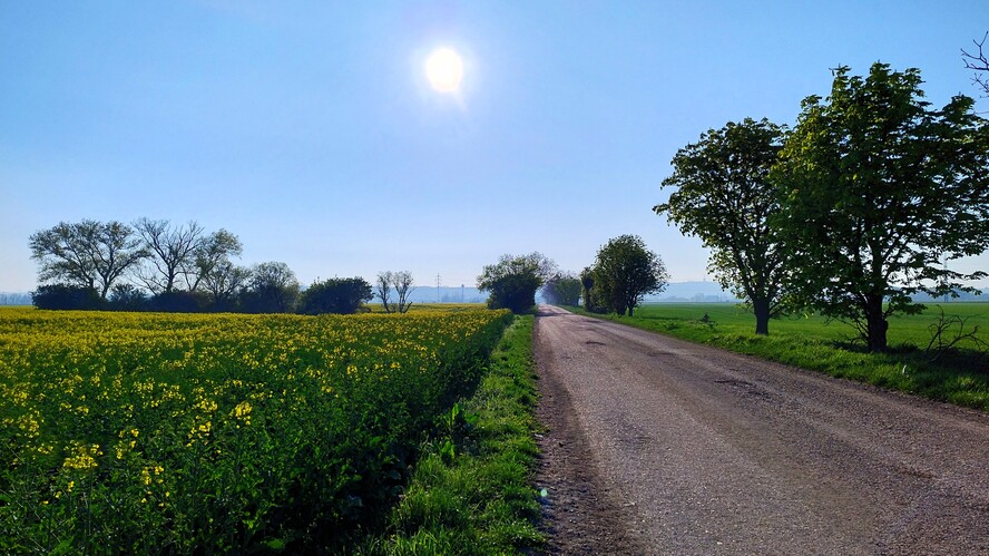 V chotári.Apr.2026.