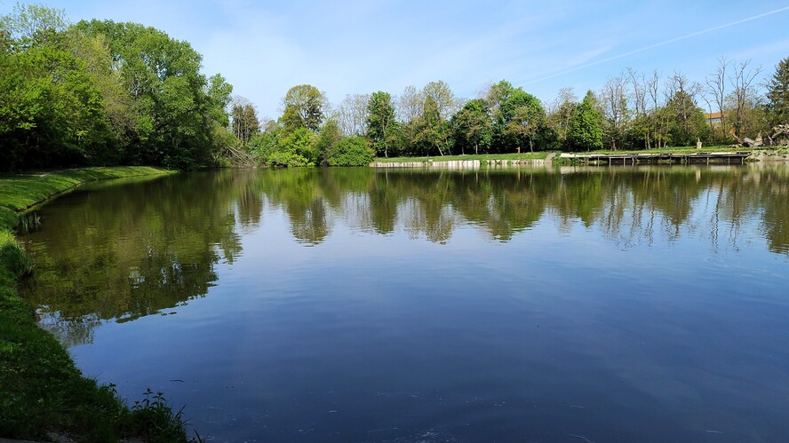 Cífer rybník.Apr.2026.