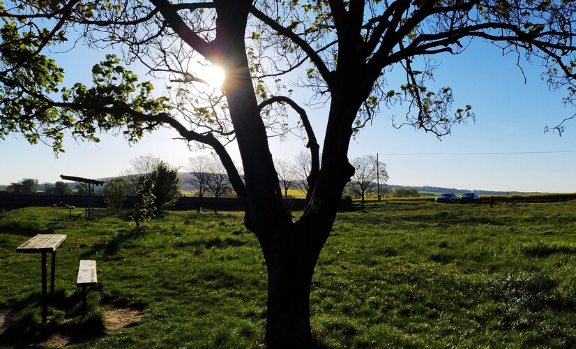 Chladné rána.Apr.2026.