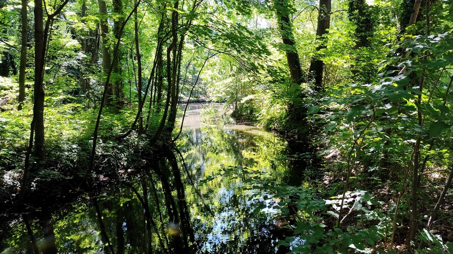 Zámocky park.Jún.2026.