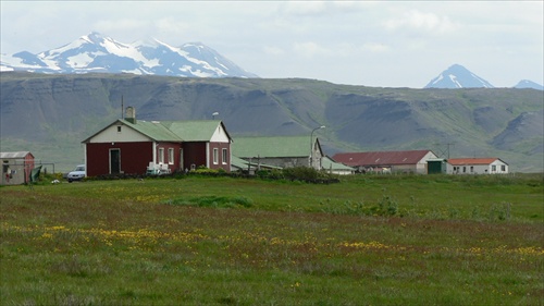život na Islande