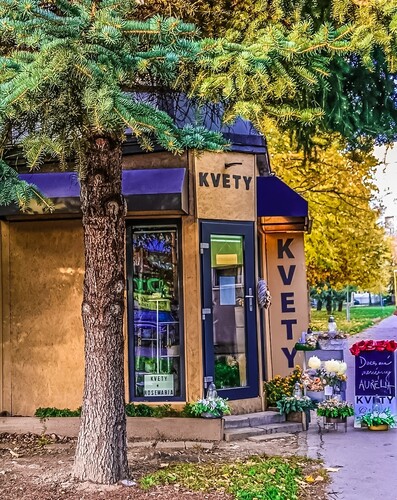 Kvety pod jedličkou 