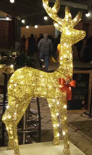 Jeleňček zlatkovský 