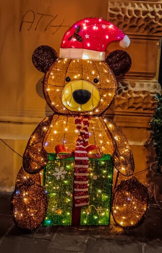 Medvedík vianočný 