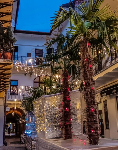 Vianočný Blue Bell 