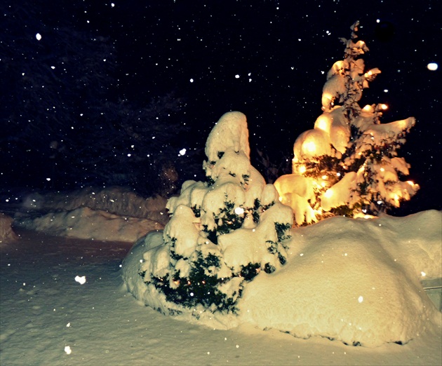 snehové nocturno...