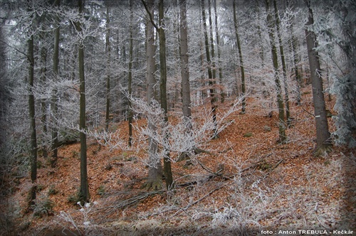 Milovaná hora / Hriňová - Slanec /