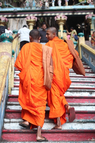 Budhistický mnísi
